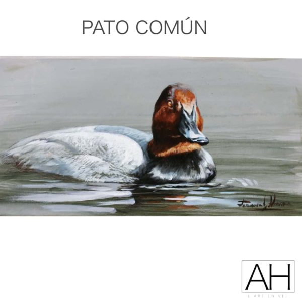 006 pato comun fernando garcia herrera