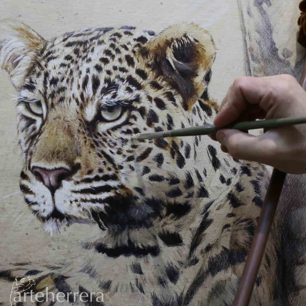 033 2 trust leopardo fernando garcia herrera