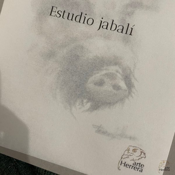 jabali dibujo cuadro herrera caza grabado