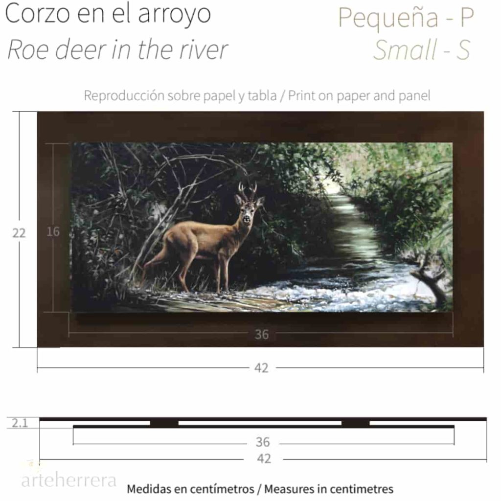 corzo arroyo caza herrera tabla
