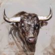 estudio toro bravo herrera tauromaquia