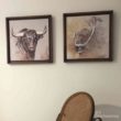 estudio toro bravo retocada herrera deco