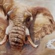 lamina elefante bigfive arteherrera