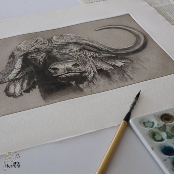 grabado bufalo africano arte herrera 1