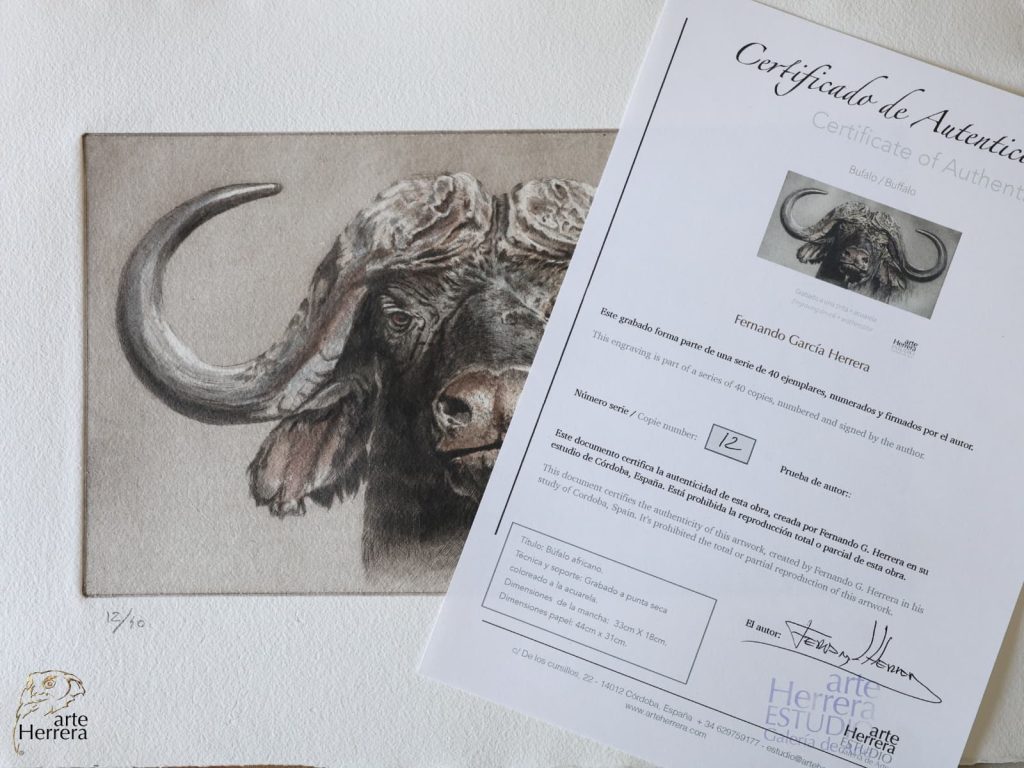 grabado bufalo africano arte herrera 10