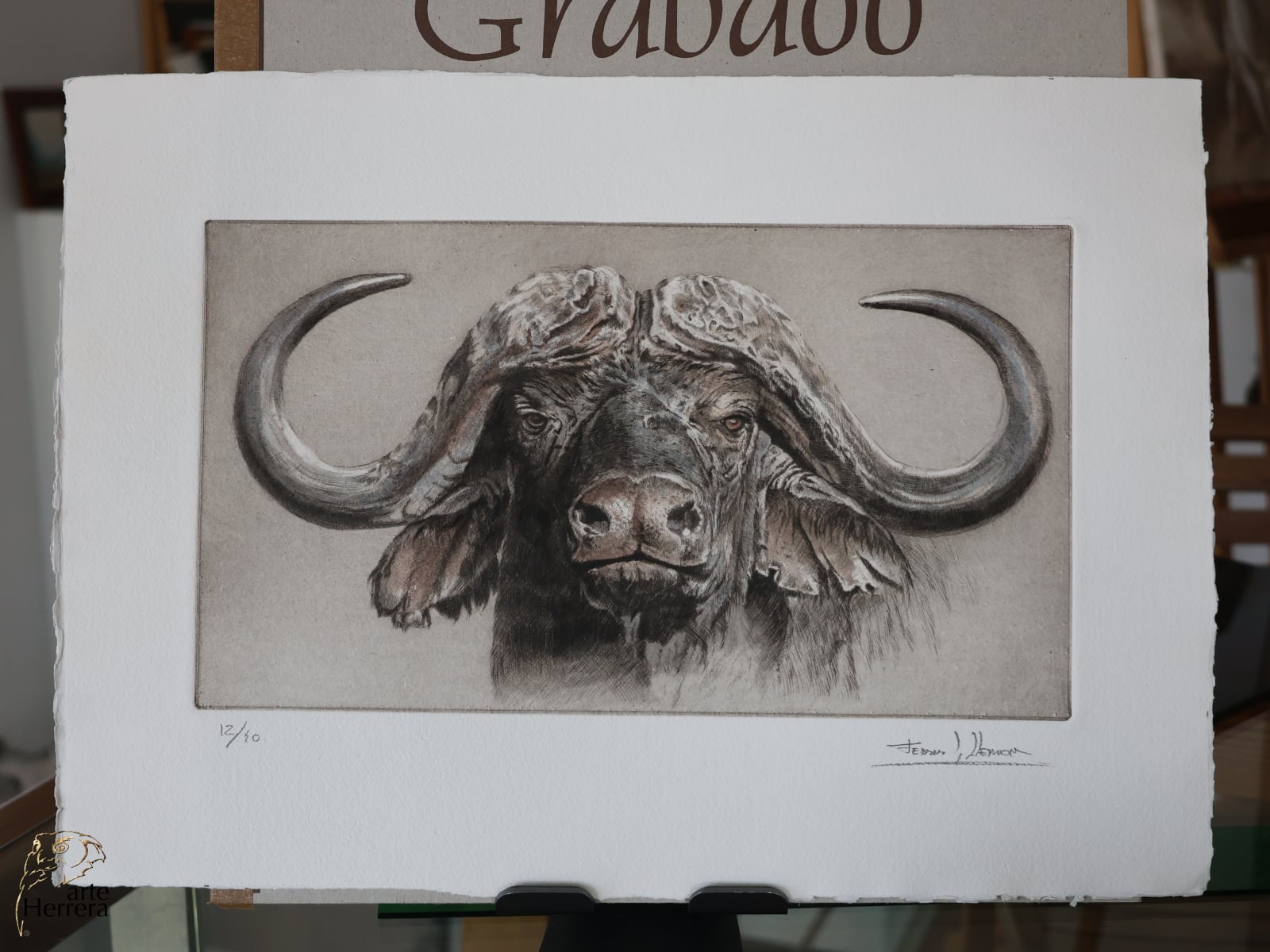 grabado bufalo africano arte herrera 7 grabado bufalo africano arte herrera 7