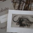 grabado bufalo africano arte herrera 8