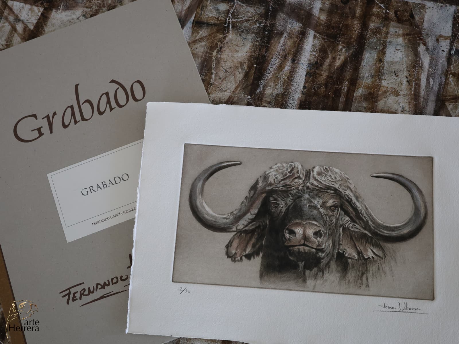 grabado bufalo africano arte herrera 8 grabado bufalo africano arte herrera 8