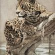 grabado leopardo africa herrera