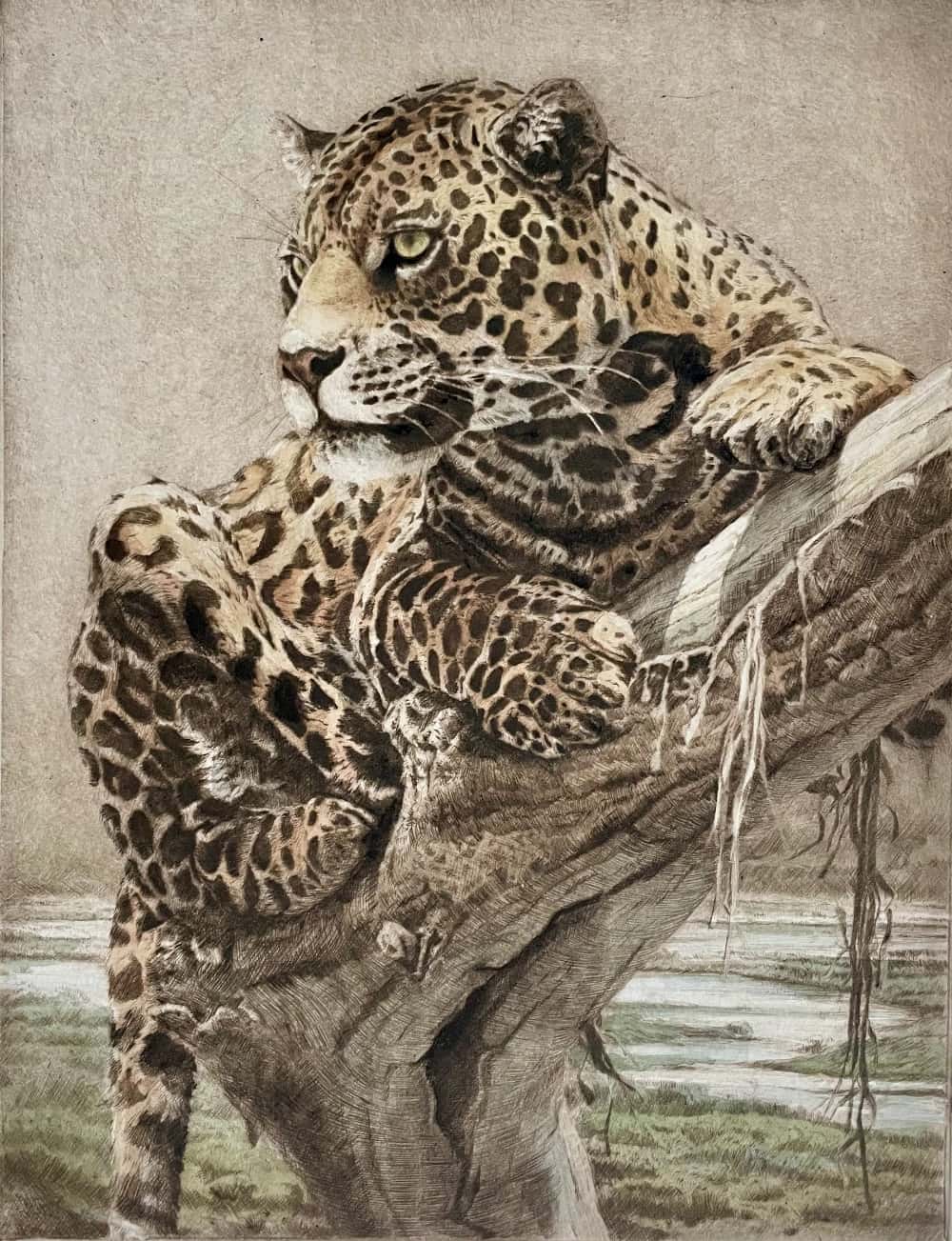 grabado leopardo africa herrera