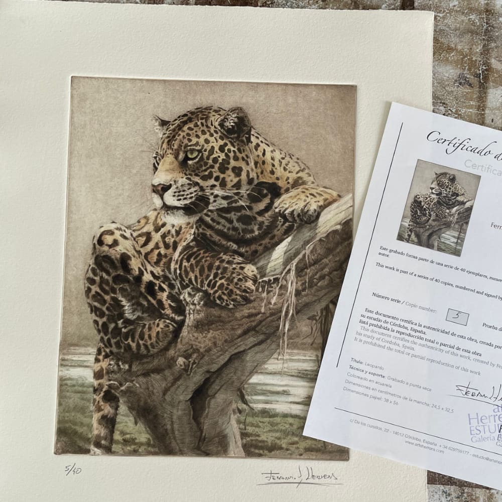 grabado leopardo regalo africa herrera