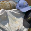 logo buho camiseta arteherrera gorra