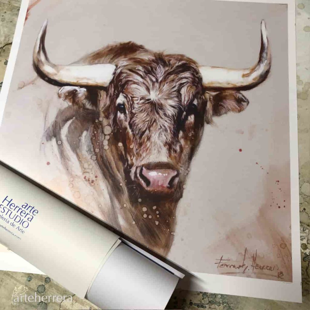 toro lamina arteherrera