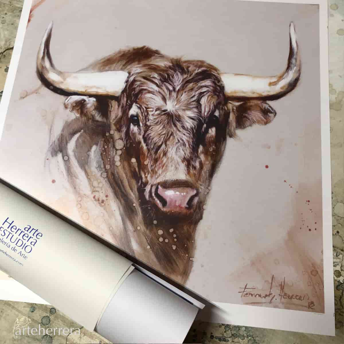 toro lamina arteherrera