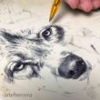 oleo lobo herrera dibujo