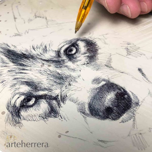 oleo lobo herrera dibujo