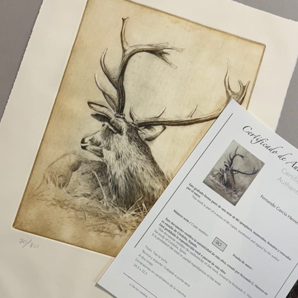 grabado venado ciervo caza herrera