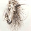 boceto dibujo caballo herrera arteherrera