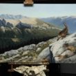 monte perdido cuadro caza herrera