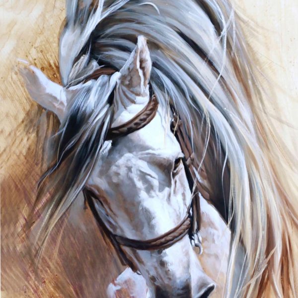 caballo español avra lienzo arteherrera