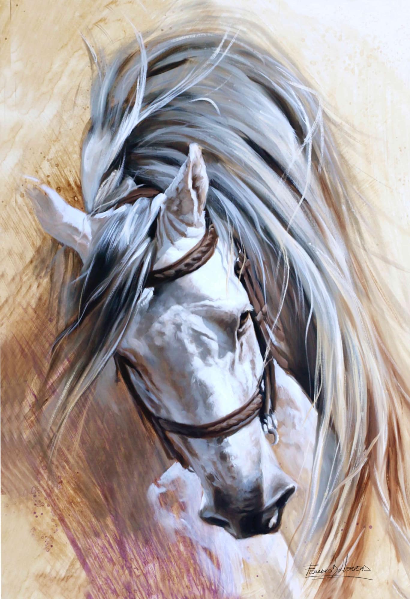 caballo español avra lienzo arteherrera caballo español avra lienzo arteherrera