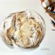 pan oleo herrera tinta