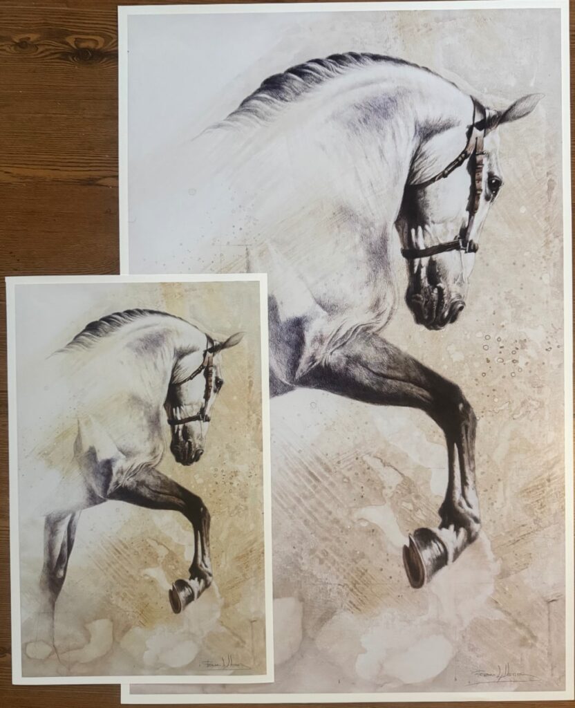 lamina caballo blanco español herrera