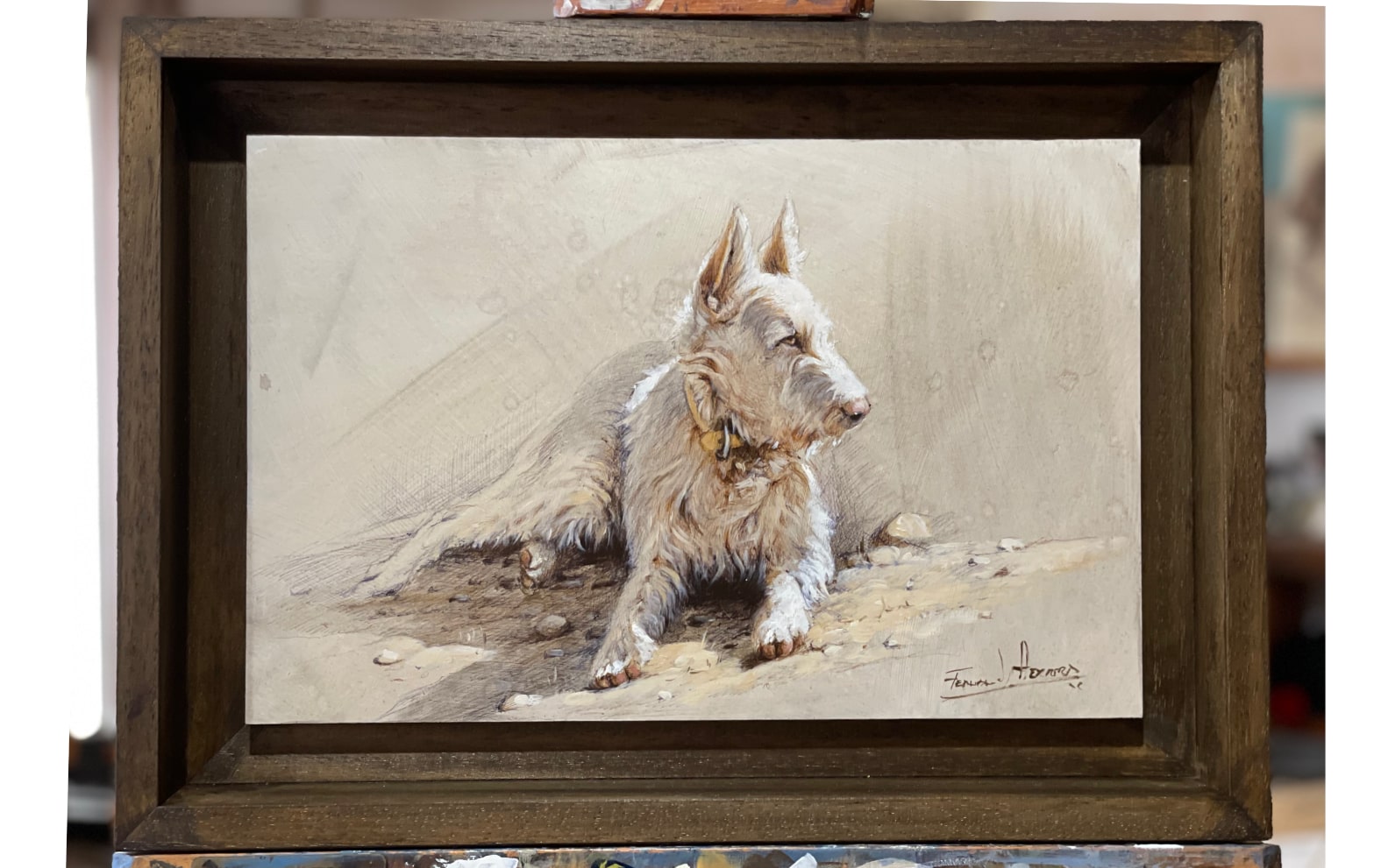 podenco enmarcado reahala herrera