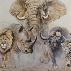 Lienzo Big Five M promo