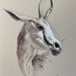 dibujo antilope herrera