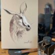 dibujo antilope herrera tintas herbin
