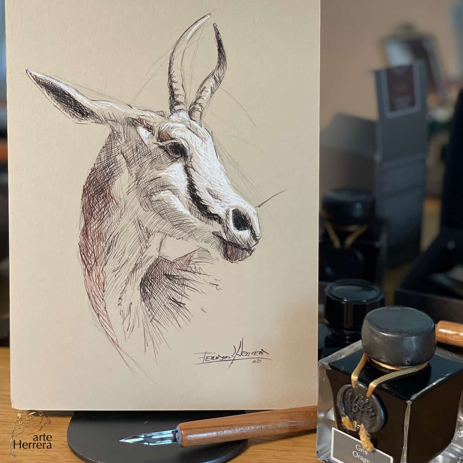 dibujo antilope herrera tintas herbin dibujo antilope herrera tintas herbin