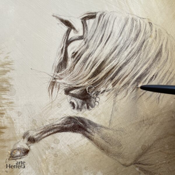 Dibujo-caballo-Herrera