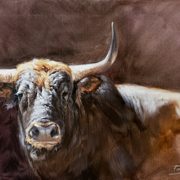 toro bravo oleo herrera cuadro