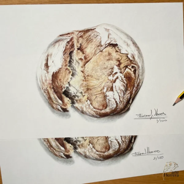 lamina pan hogaza dibujo herrera