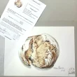 lamina pan hogaza dibujo herrera certificada
