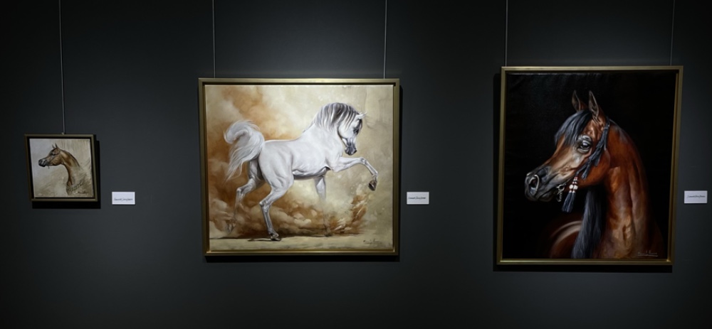 Kiahf-Arabian-horse-qatar 
