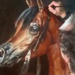 arabian horse qatar herrera oil IAHF