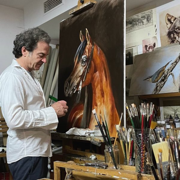arabian horse qatar herrera oil painter