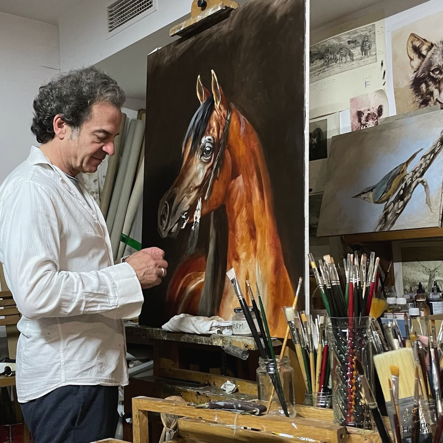 arabian horse qatar herrera oil painter arabian horse qatar herrera oil painter
