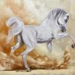 arabian horse white herrera artwork