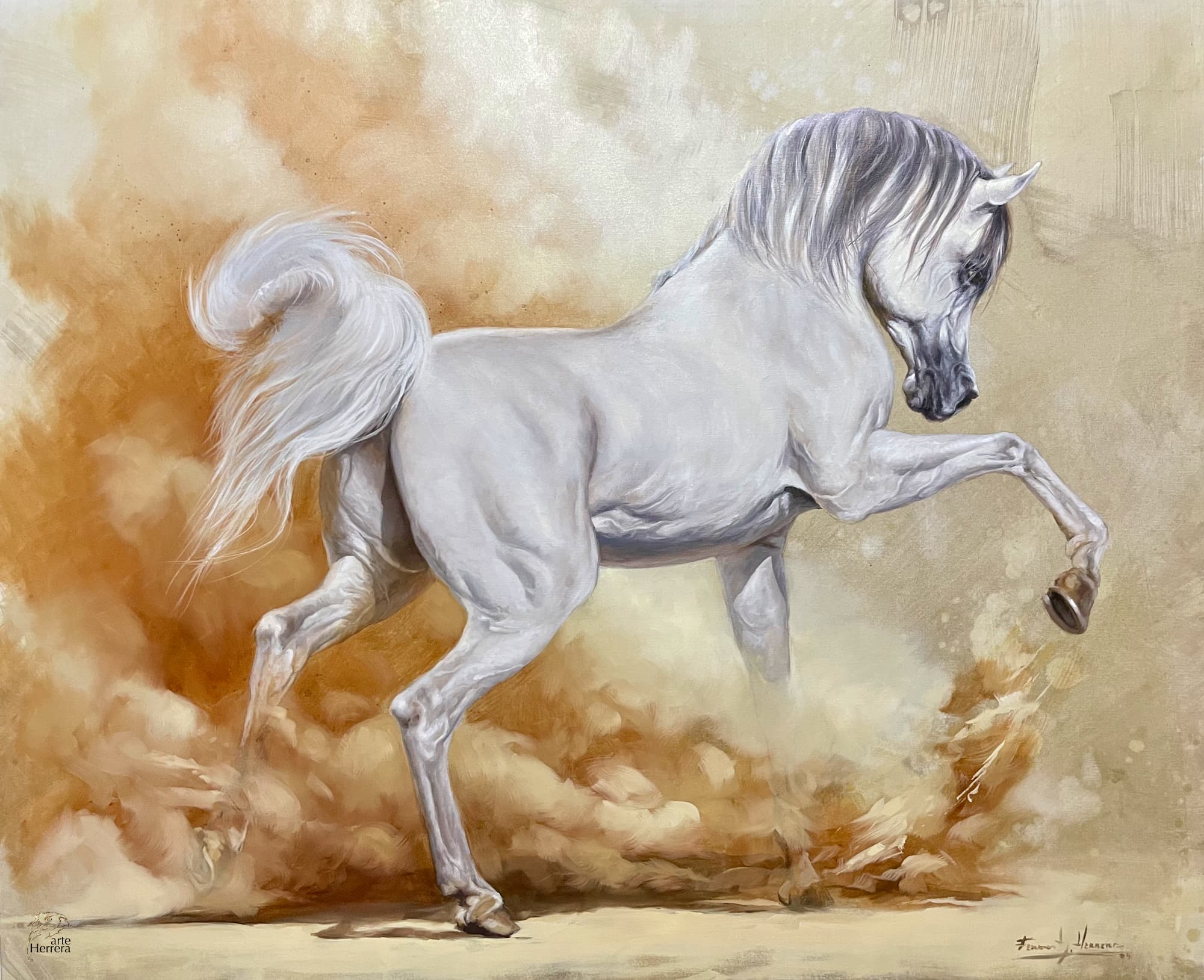 arabian horse white herrera artwork arabian horse white herrera artwork