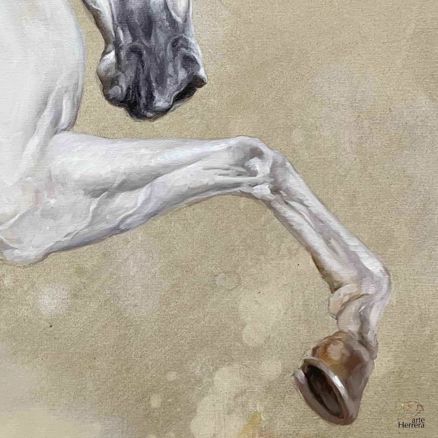 arabian horse white qatar herrera oil painter arabian horse white qatar herrera oil painter