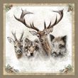 Pañuelo Fauna 70x70 herrera caza