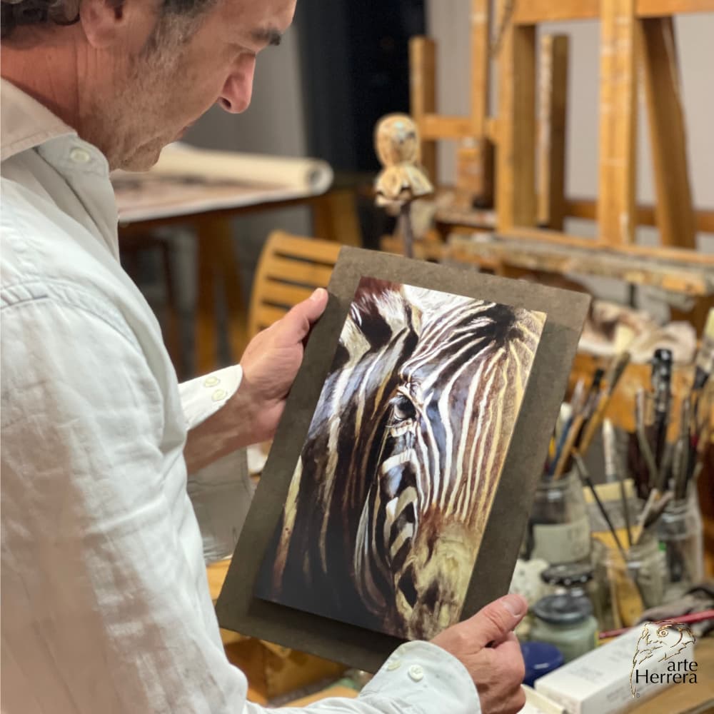 cebra cuadro barato herrera pintor famoso cebra cuadro barato herrera pintor famoso