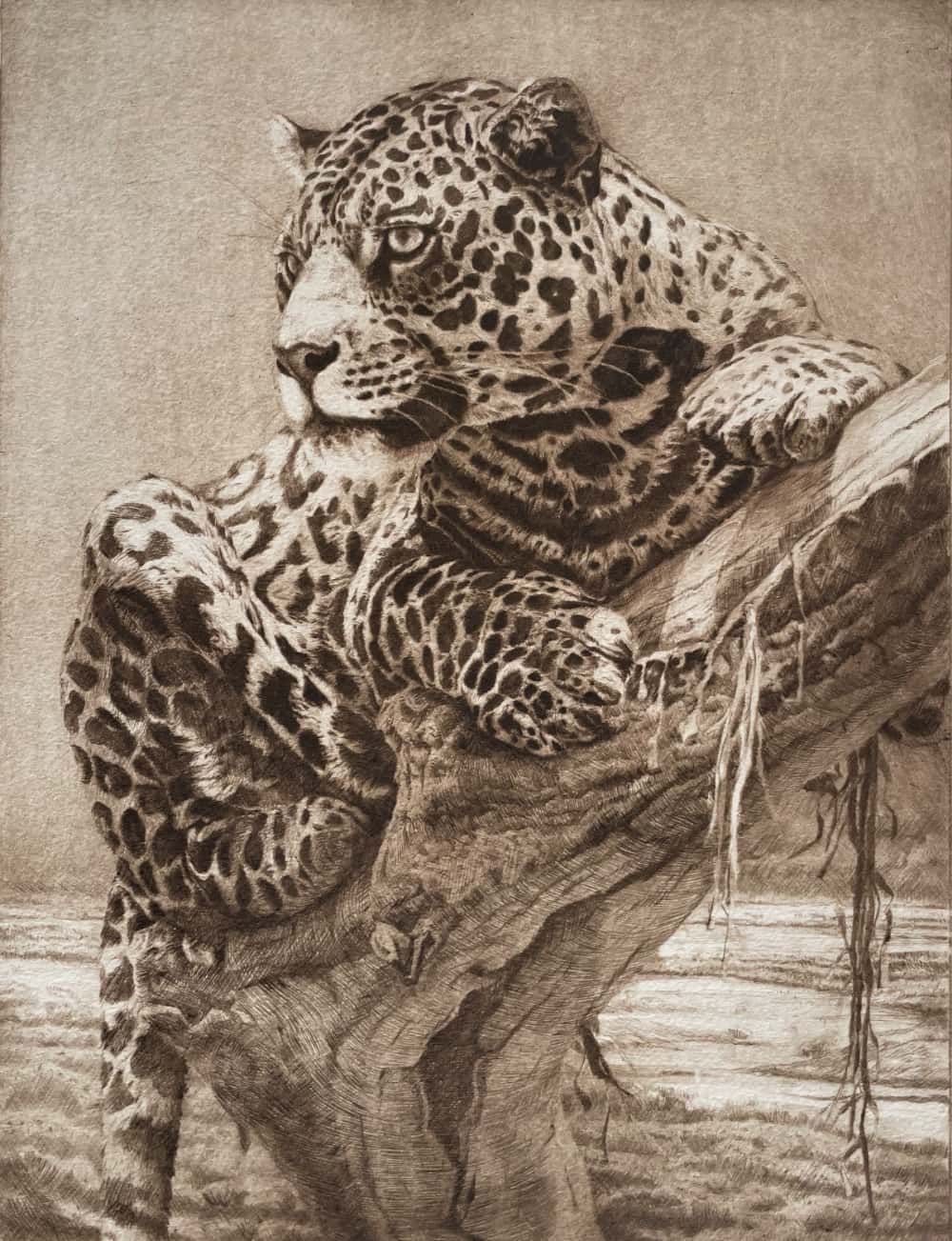 grabado leopardo sepia herrera