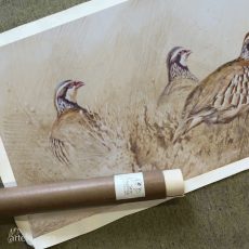 perdiz roja caza lienzo cuadro arteherrera