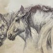 caballos 4