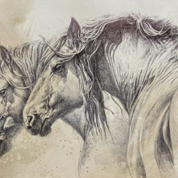 caballos 4