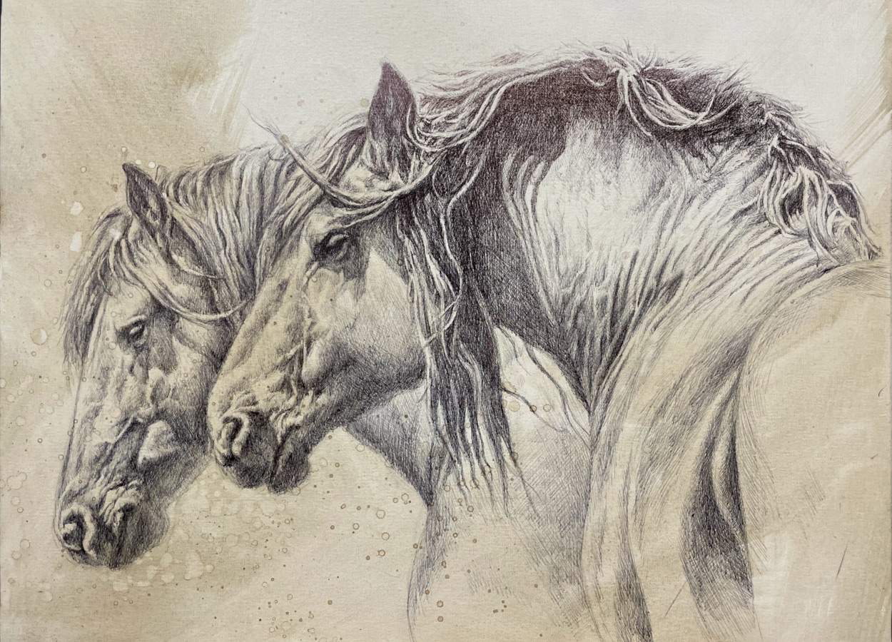 caballos 4 caballos 4